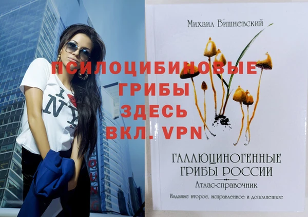 сатива Балабаново