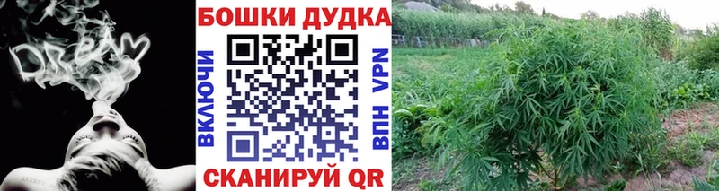 Марихуана Bruce Banner  Ершов 